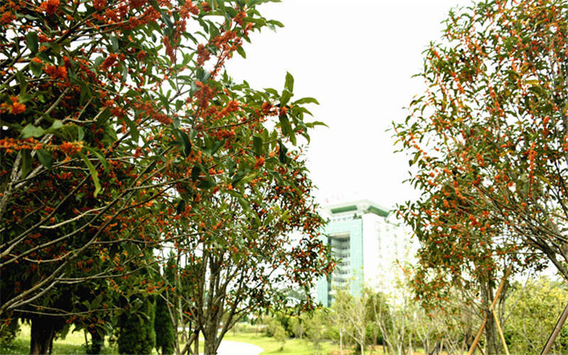 福建农林大学校园风景