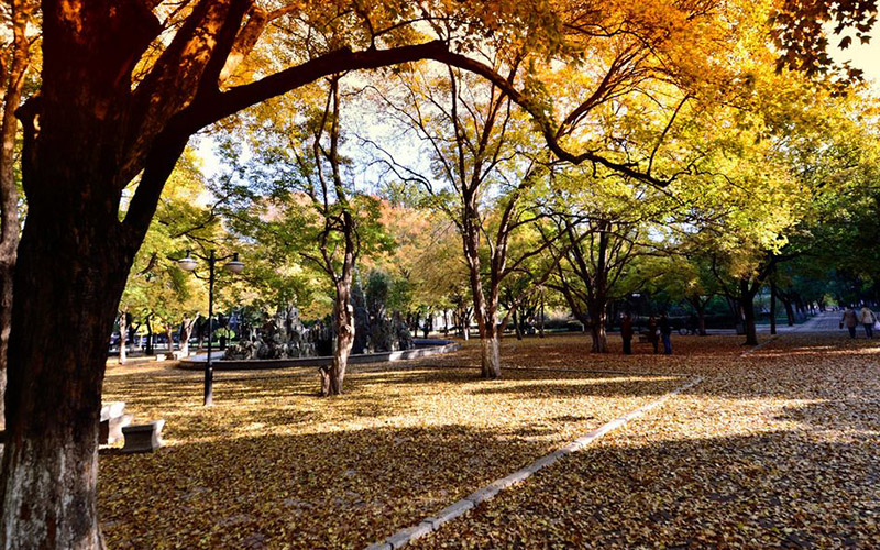 山东大学校园风景