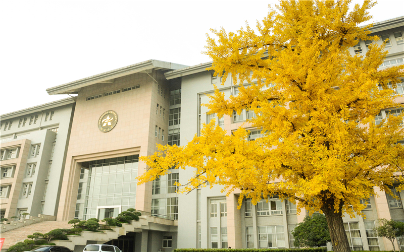 郑州大学校园风景