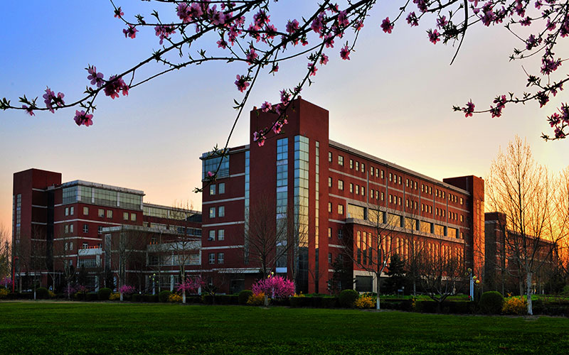 河北大学校园风景