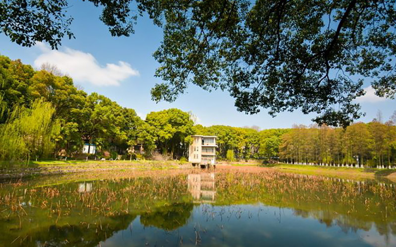 华中科技大学校园风景