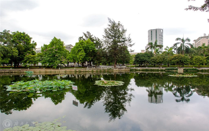 广西大学校园风景