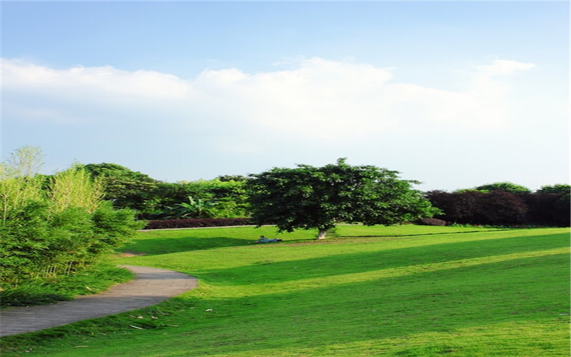 重庆大学校园风景