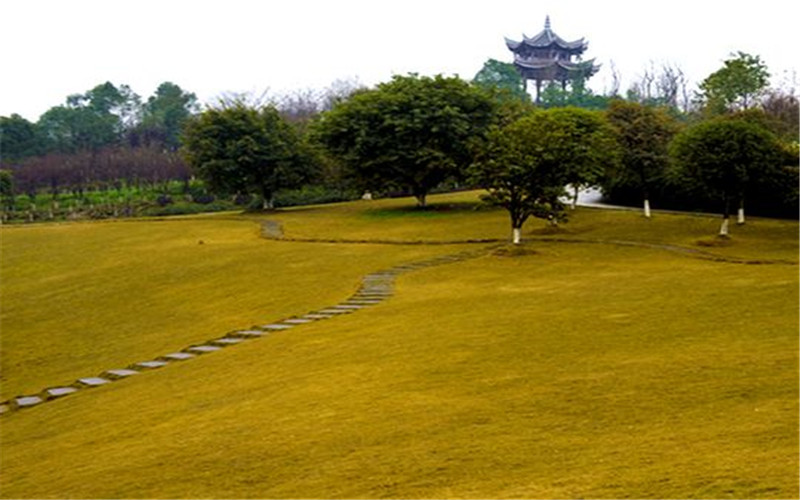 重庆大学校园风景