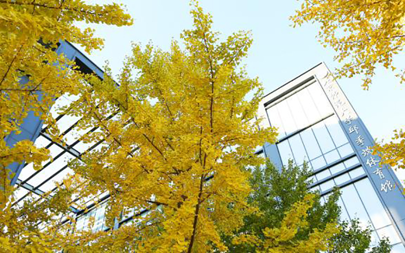 北京师范大学校园风景