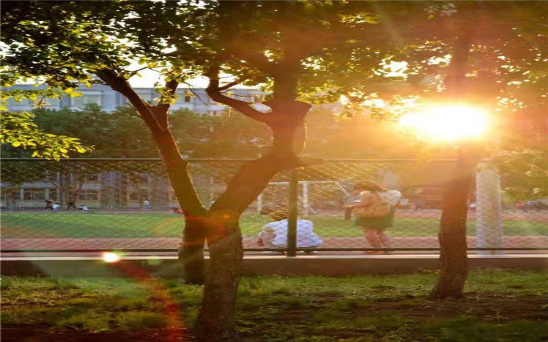 东北大学校园风景