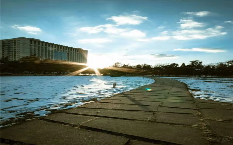 东北大学校园风景