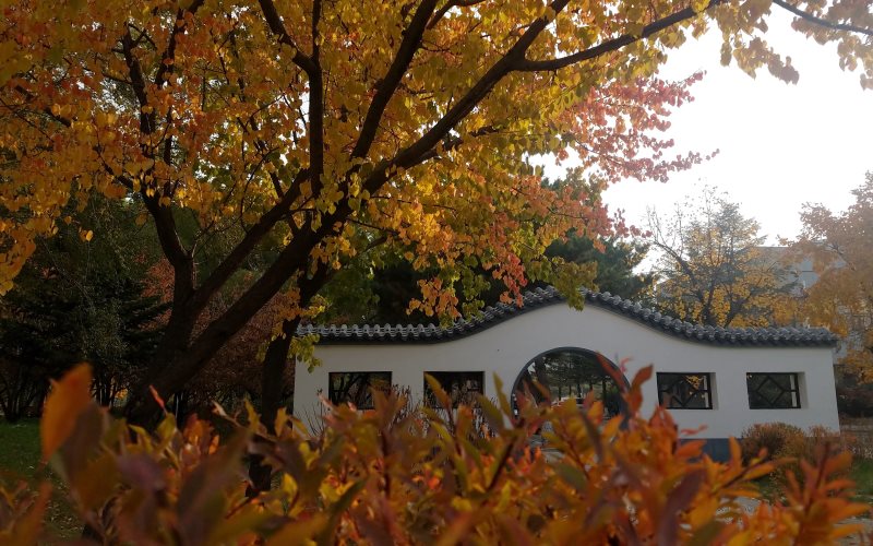 吉林大学校园风景