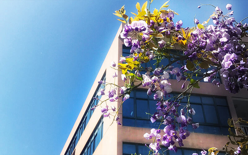 华东师范大学校园风景