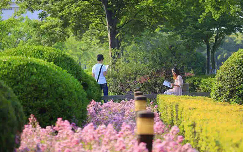 上海大学校园风景