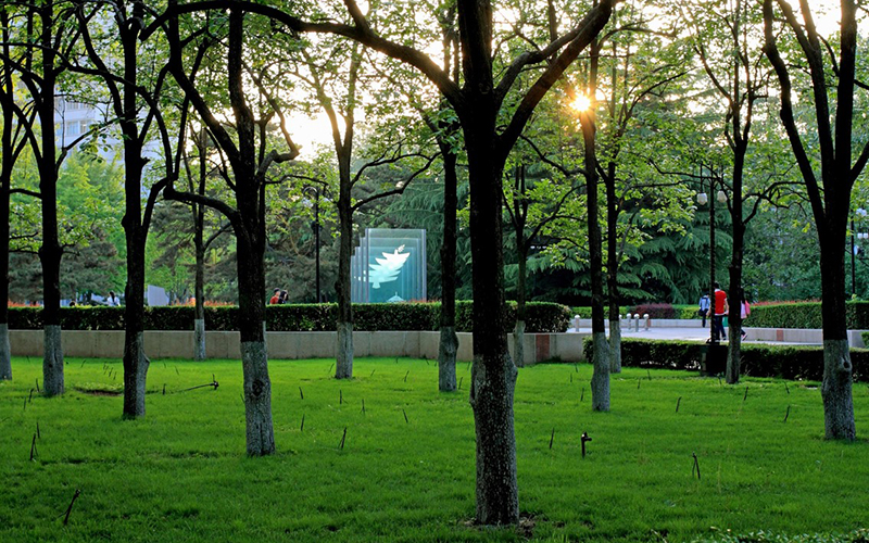 北京理工大学校园风景